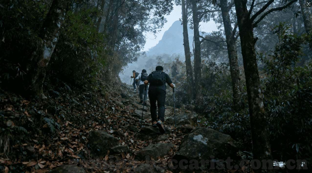 世界杯足球赛买球倍率-世界杯足球赛买球倍率，理性投注与风险管理的艺术